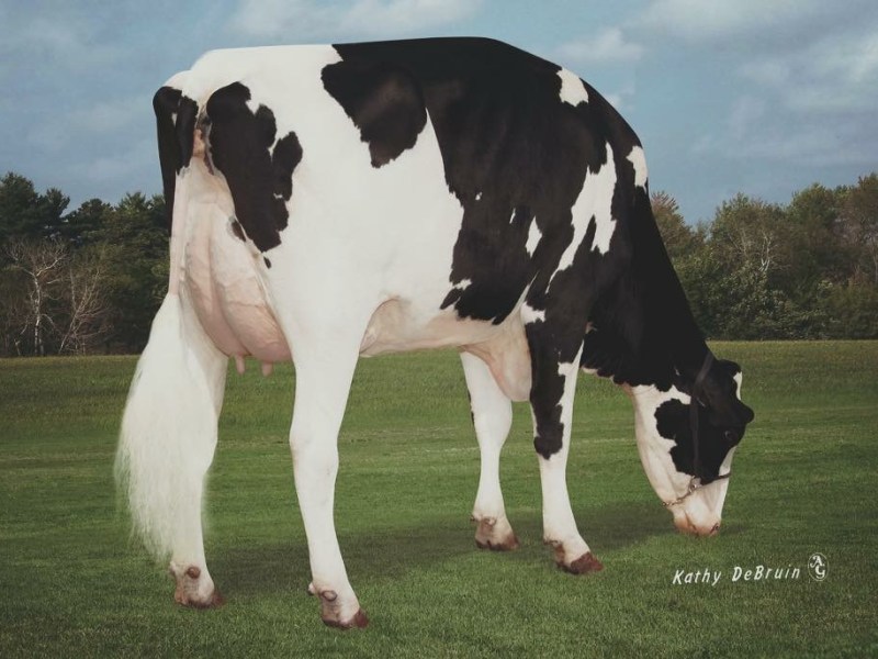 MORNINGVIEW UNO REGINA-ET EX&nbsp;90